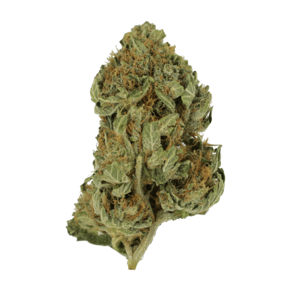Bubblegum – 1 ounce | Naked Cannabis Canada