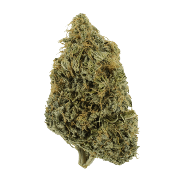 NYC Diesel | Naked Cannabis Canada