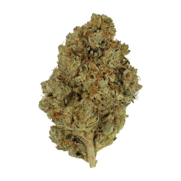 Nepalese | Naked Cannabis Canada