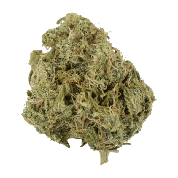 Moby Dick | Naked Cannabis Canada