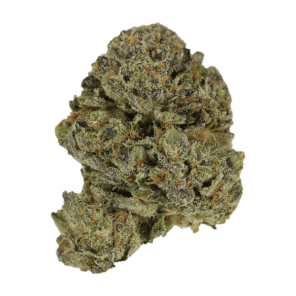Lavender | Naked Cannabis Canada