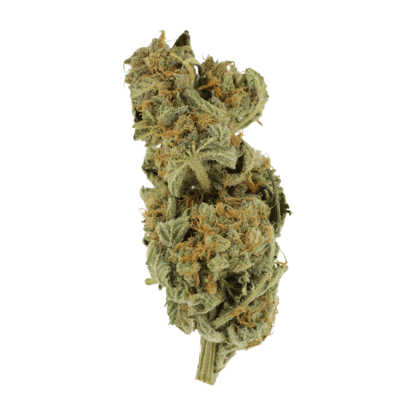 Gorilla Glue | Naked Cannabis Canada