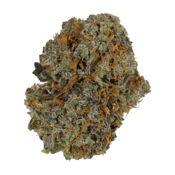 Jack Herer 1 Ounce | Naked Cannabis Canada