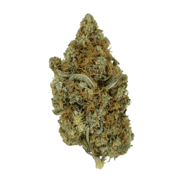 Jack Herer 1 Ounce | Naked Cannabis Canada