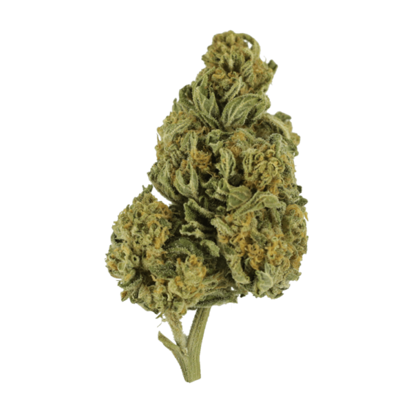 Blackwater | Naked Cannabis Canada