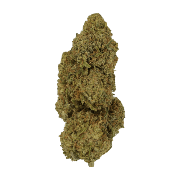 9lb Hammer | Naked Cannabis Canada