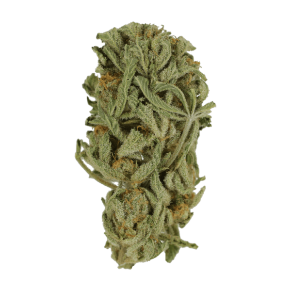 Master Kush Ultra | Naked Cannabis Canada