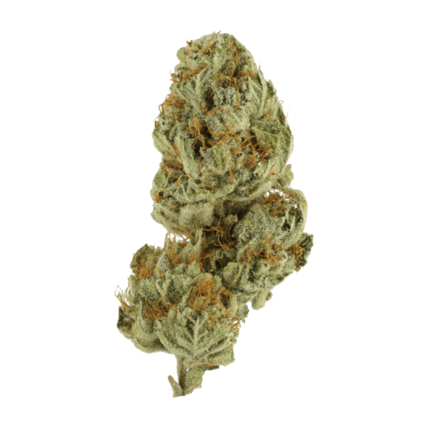 Strawberry Glue | Naked Cannabis Canada