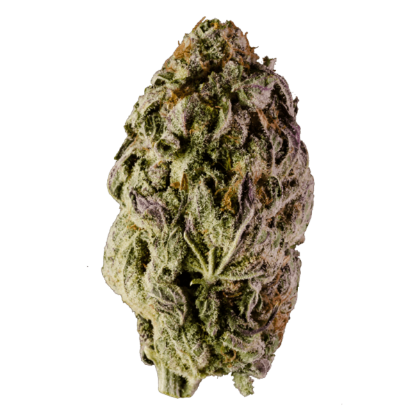 Durban Cookies | Naked Cannabis Canada