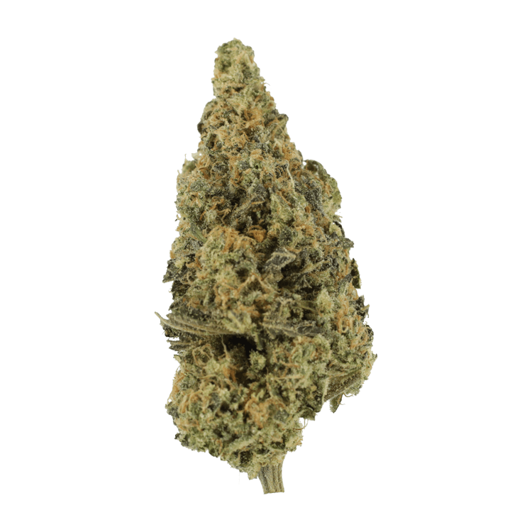Lava Fuel | Naked Cannabis Canada Lava Fuel | Naked Cannabis Canada