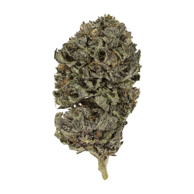 Purple Skunk | Naked Cannabis Canada Purple Skunk | Naked Cannabis Canada