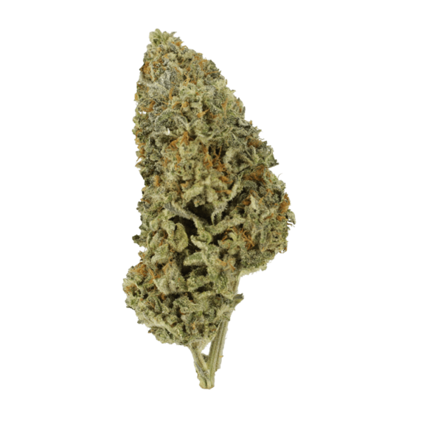 Super Silver Sour Diesel | Naked Cannabis Canada