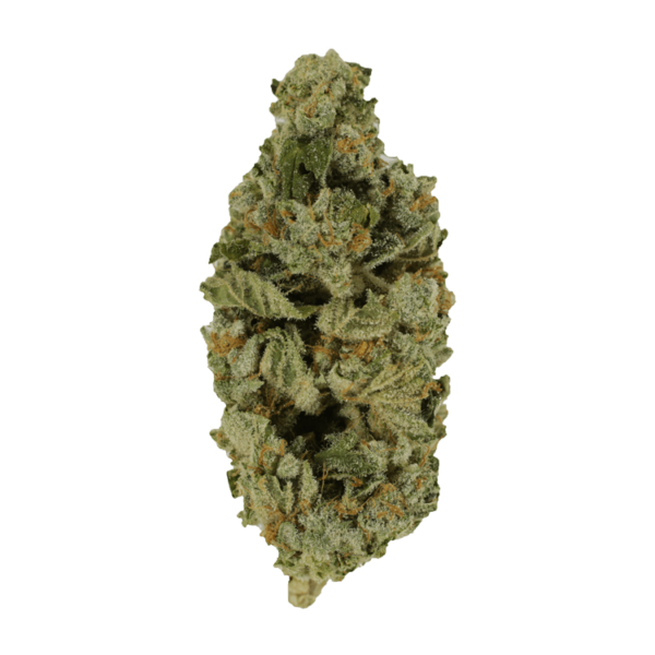 Crazy Glue | Naked Cannabis Canada