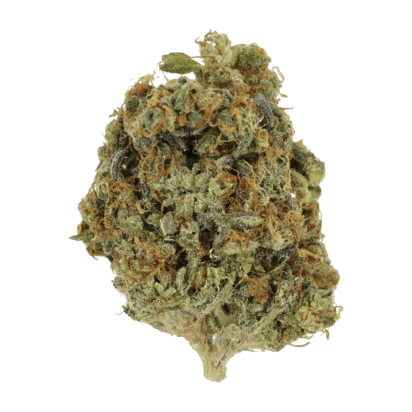 Sunset Sherbert | Naked Cannabis Canada