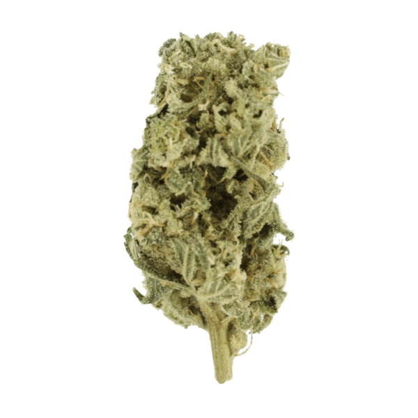 Night Terror | Naked Cannabis Canada