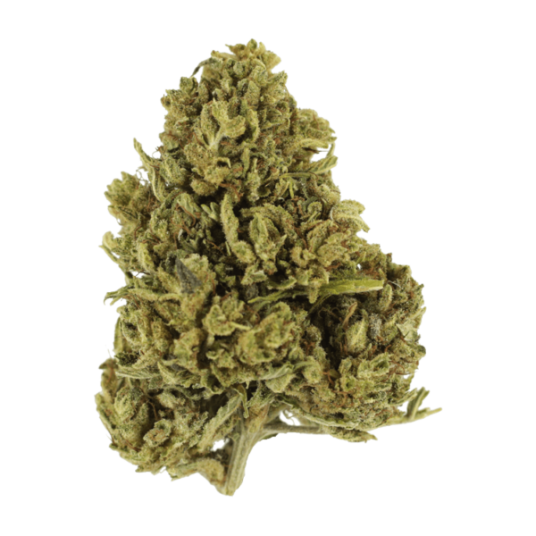 Cherry Wine (CBD) | Naked Cannabis Canada