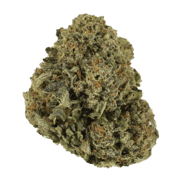 Blue Haze | Naked Cannabis Canada