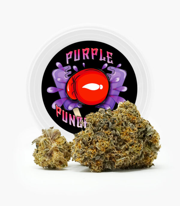 Westcoast Cali Tins – Premium Flower – Purple Punchsicle – 14g | Naked Cannabis Canada