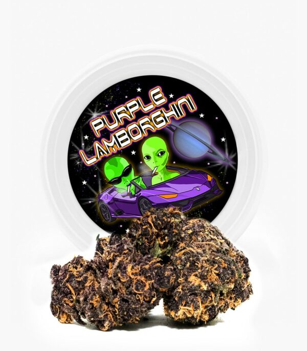 Westcoast Cali Tins – Premium Flower – Purple Lamborghini – 3.5g | Naked Cannabis Canada
