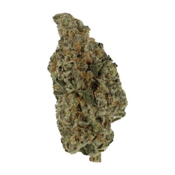 Biscotti Sundae | Naked Cannabis Canada