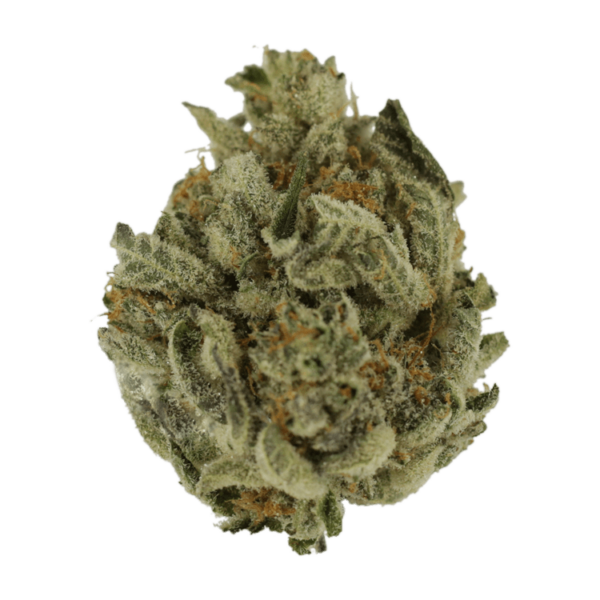 Biscotti Sundae | Naked Cannabis Canada