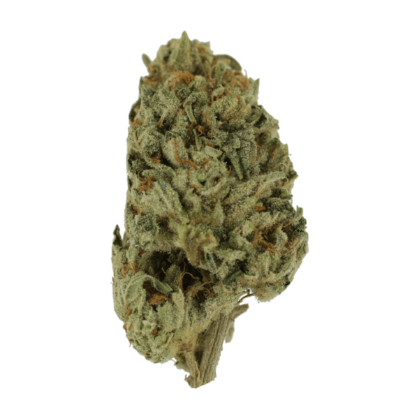 Biscotti Sundae | Naked Cannabis Canada