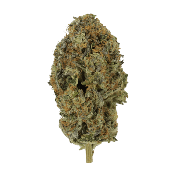 Acapulco Gold | Naked Cannabis Canada