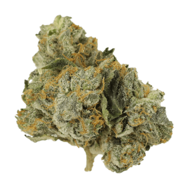 Mango Cream | Naked Cannabis Canada