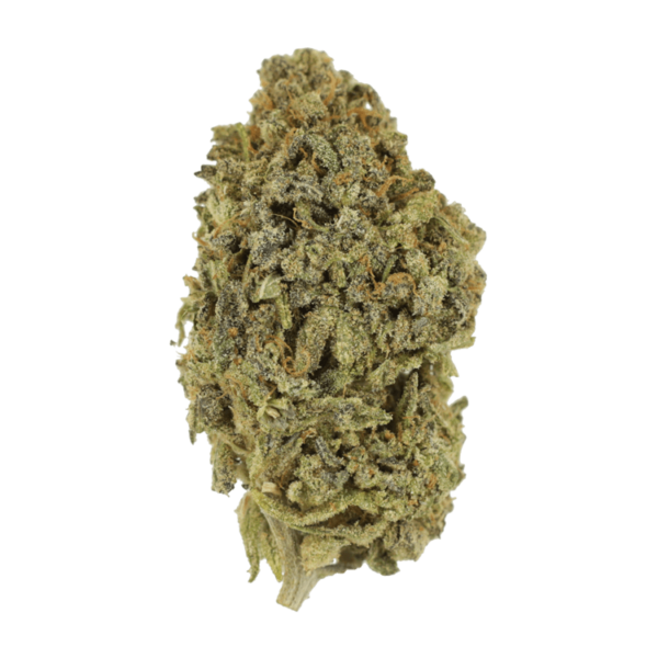 Watermelon Gelato | Naked Cannabis Canada