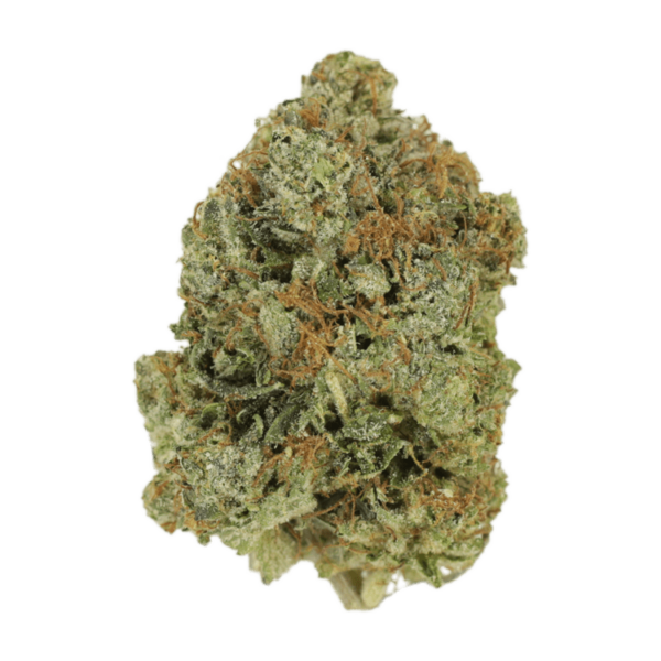 Jack Herer (popcorn) | Naked Cannabis Canada