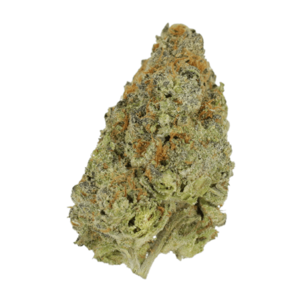 Lilac Diesel | Naked Cannabis Canada
