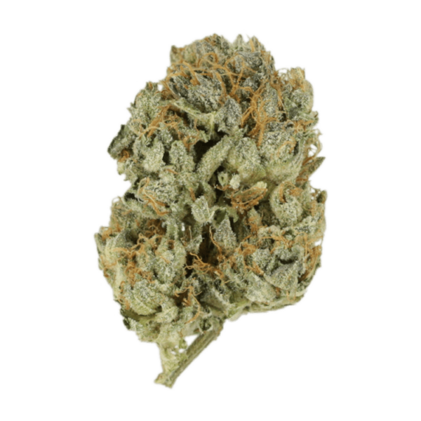 Kashmir Kush | Naked Cannabis Canada