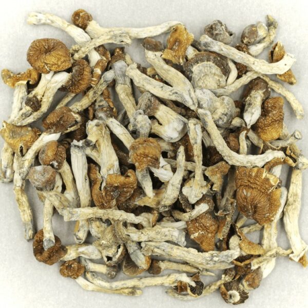 Florida White | Naked Cannabis Canada Florida White | Naked Cannabis Canada