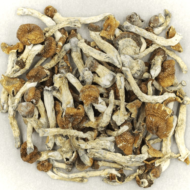 Florida White | Naked Cannabis Canada Florida White | Naked Cannabis Canada