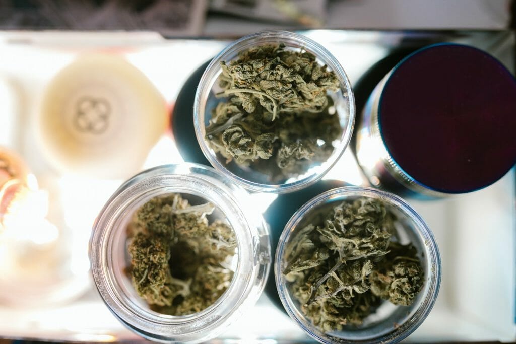 Best cannabis in Canada: Finding the Premium Hybrid Strains | Naked Cannabis Canada | Naked Cannabis Canada