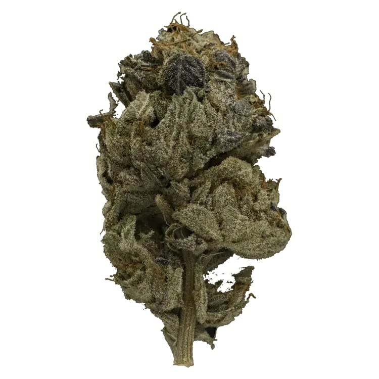 Enjoy the Heavy Indica Effects of Pink Gas Mask Strain | Naked Cannabis Canada | Naked Cannabis Canada
