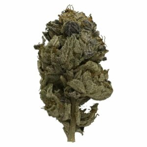 Naked Cannabis Canada - Pink Gas Strain | Naked Cannabis Canada