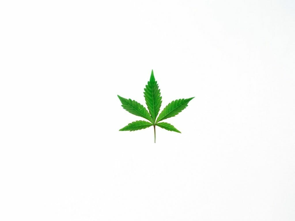Benefits of Shopping in a BC cannabis Online Dispensary | Naked Cannabis Canada