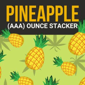 Pineapple 1 OZ Kit | Naked Cannabis Canada