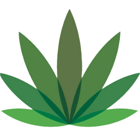 logo (1) - Naked Cannabis Canada | Naked Cannabis Canada